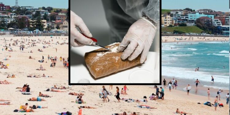 Med dopustom na plaži našel tono kokaina!