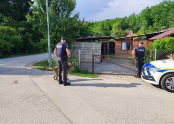 Povečane patrulje na Dolenjskem: Policija z novimi prijemi proti tatovom