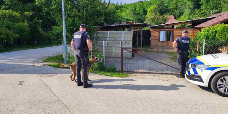 Povečane patrulje na Dolenjskem: Policija z novimi prijemi proti tatovom