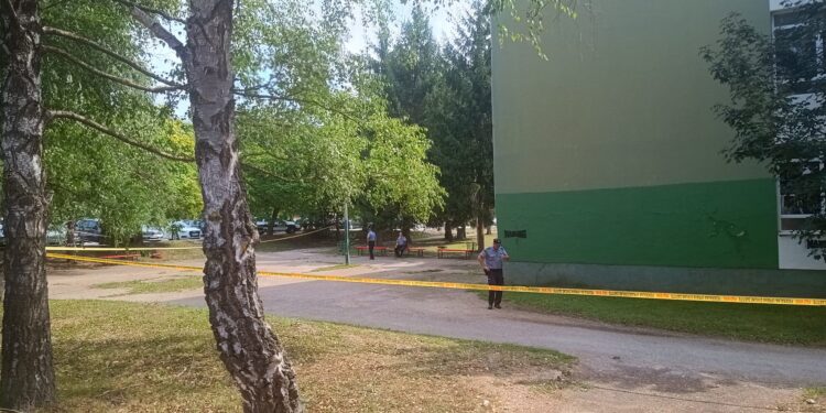 V strelskem pohodu na bosanski šoli ubite tri osebe