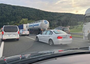 Prometna nesreča na avtocesti: Razbežani pasji mladički ustavili promet