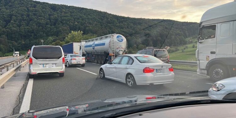 Prometna nesreča na avtocesti: Razbežani pasji mladički ustavili promet