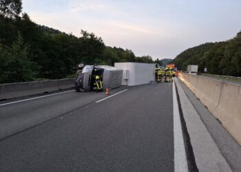 Podrobnosti nesreče: Razbežani pasji mladički ustavili promet (FOTO)