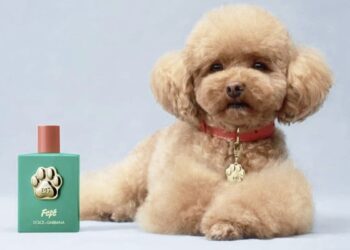 Dolce & Gabbana lansirala luksuzni parfum za pse
