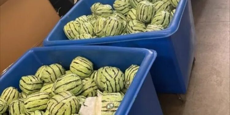 Droga v obliki lubenic: Šokanten poskus tihotapljenja