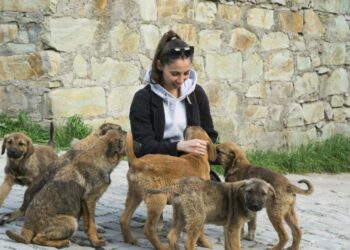 Ljubezen do živali oblikuje značaj: 7 ključnih lastnosti, ki jih imajo ljubitelji živali