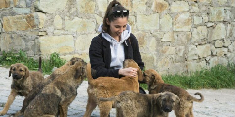 Ljubezen do živali oblikuje značaj: 7 ključnih lastnosti, ki jih imajo ljubitelji živali