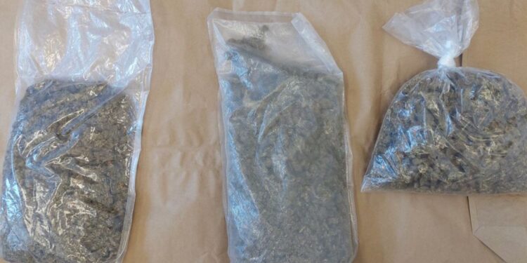 Policija prijela moškega pri Ajdovščini: Kilogram sumljive droge v nahrbtniku