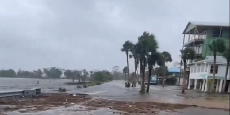 Šok na Floridi: Kako je orkan Debby prinesel kokain na obale Floride? (VIDEO)