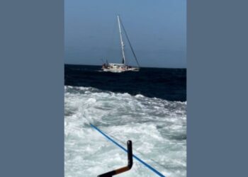 Napad kitov ubijalcev na španski obali: Ena oseba huje poškodovana (FOTO)