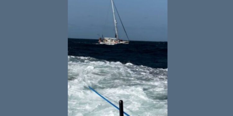 Napad kitov ubijalcev na španski obali: Ena oseba huje poškodovana (FOTO)