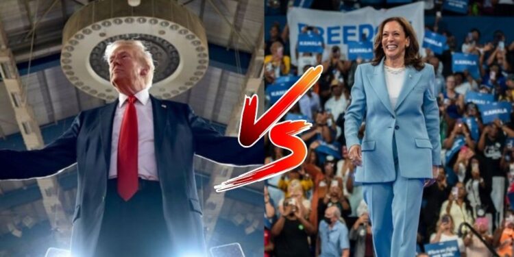 Kamala Harris v anketah prehitela Donalda Trumpa pred predsedniškimi volitvami