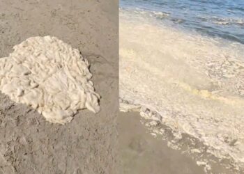 Turisti množično bežijo s plaž: Hrvaška in Italija preplavljeni s sluzjo (VIDEO)