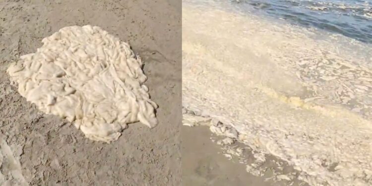 Turisti množično bežijo s plaž: Hrvaška in Italija preplavljeni s sluzjo (VIDEO)