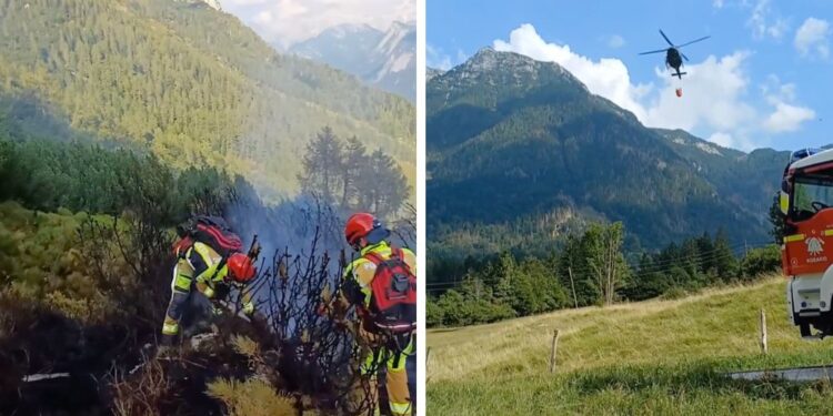 Uspešno pogasili požar na težko dostopnem pobočju nad vasjo Soča (VIDEO)