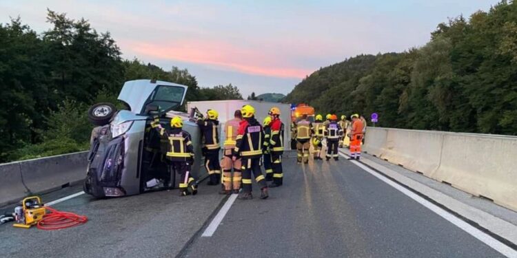 Po prometni nesreči: Rešeni ukradeni psi se vračajo domov (FOTO)