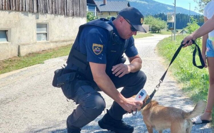 Foto: PU Celje