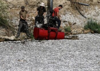 Pristanišče Volos preplavljeno s poginulimi ribami: Prebivalci in turisti v šoku (FOTO)