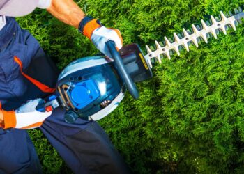 Ste lastniki zemljišč? Bujna vegetacija ob cestah vas lahko drago stane, to pa je razlog