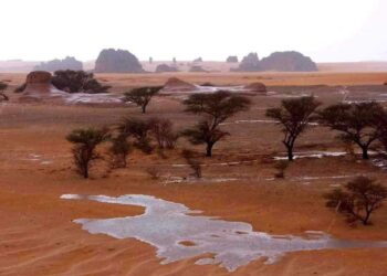 Sahara doživela najmočnejše padavine v zgodovini