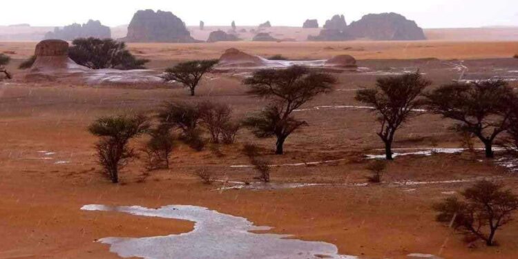 Sahara doživela najmočnejše padavine v zgodovini