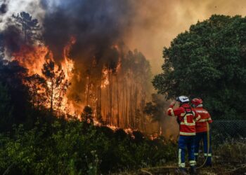 Grozljiv požar na Portugalskem terjal več življenj, ogenj uničil tudi več hiš in vozil (FOTO, VIDEO)