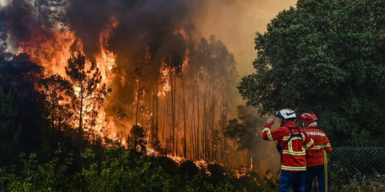 Grozljiv požar na Portugalskem terjal več življenj, ogenj uničil tudi več hiš in vozil (FOTO, VIDEO)