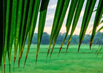 Vremenska napoved: Danes pričakujemo dež in nevihte
