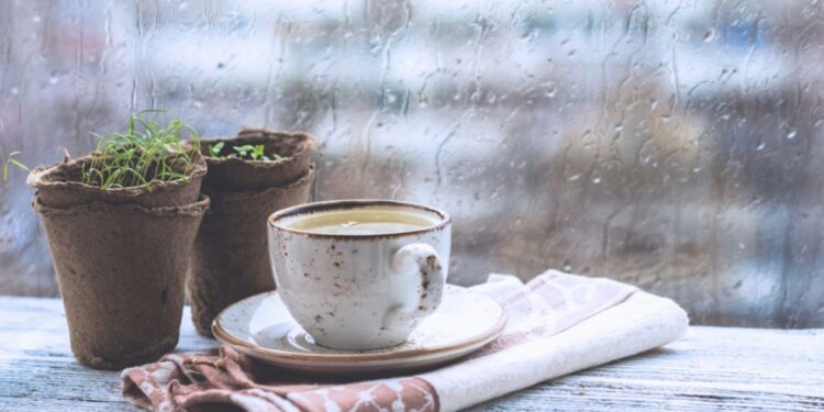 Oblačno vreme in padavine: Popoldanska ohladitev po vsej državi