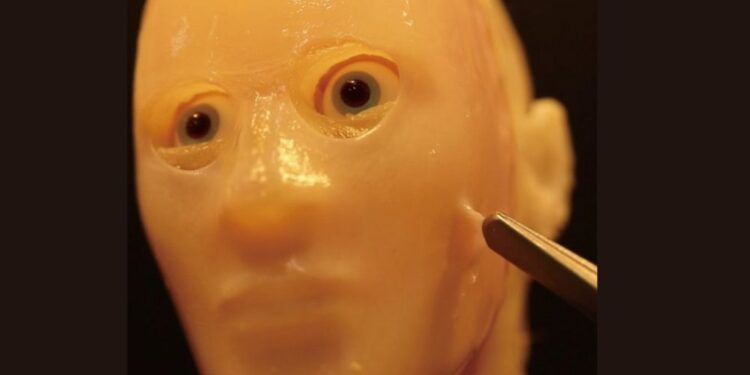 Japonski znanstveniki ustvarili humanoidnega robota z realističnim kožnim tkivom (FOTO)