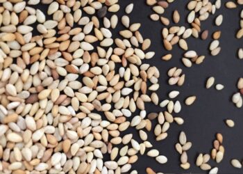 Zakaj bi moral sezam postati del vaše dnevne prehrane?