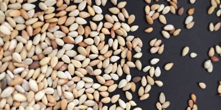 Zakaj bi moral sezam postati del vaše dnevne prehrane?