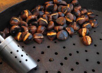 Za kostanjevo utico na Prešernovem trgu kar 9500 evrov