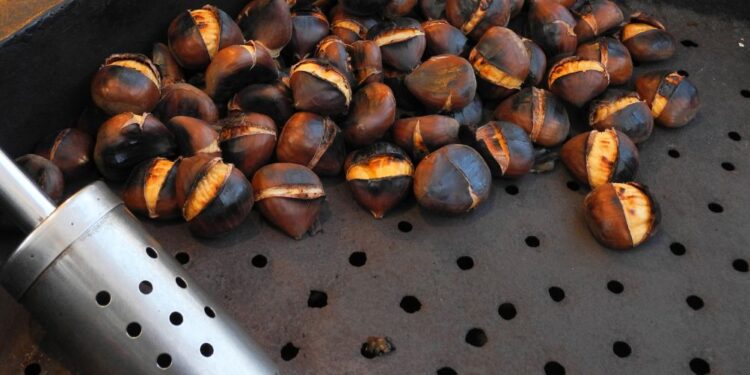 Za kostanjevo utico na Prešernovem trgu kar 9500 evrov