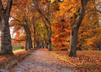 Vreme danes: Oblačno z rosenjem na zahodu, sonce na vzhodu