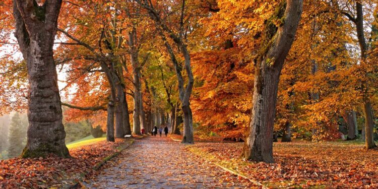 Vreme danes: Oblačno z rosenjem na zahodu, sonce na vzhodu