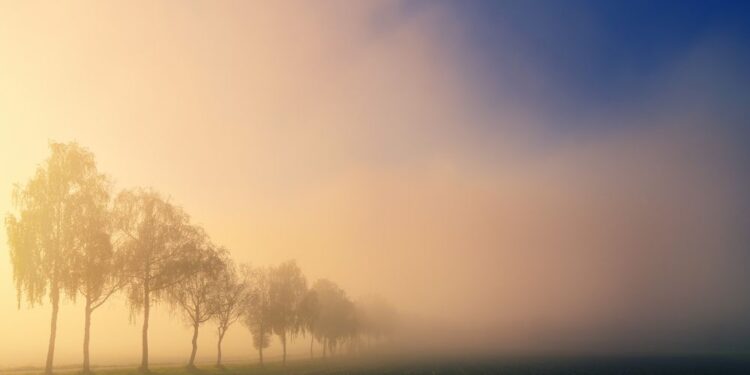 Vreme: Po meglenem jutru sledi sončno popoldne s prijetnimi temperaturami
