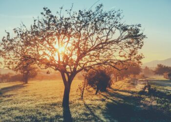 Vreme: Slovo oktobra prinaša sončne dni in blage temperature