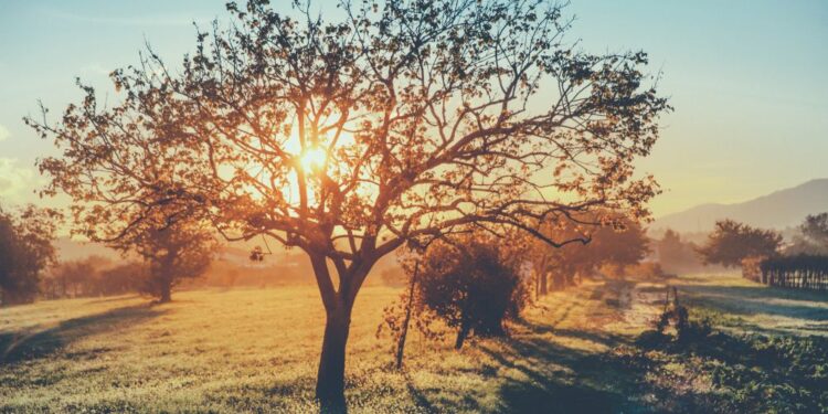 Vreme: Slovo oktobra prinaša sončne dni in blage temperature