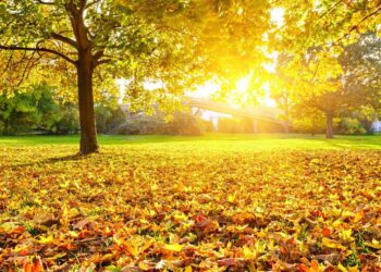 Vreme: Vikend v znamenju jasnega neba in toplih temperatur na Primorskem