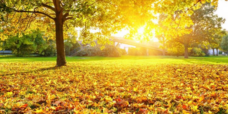 Vreme: Vikend v znamenju jasnega neba in toplih temperatur na Primorskem