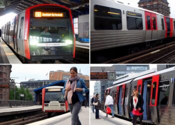 Sum na okužbo z virusom Marburg na vlaku iz Frankfurta, policija zaprla peron v Hamburgu