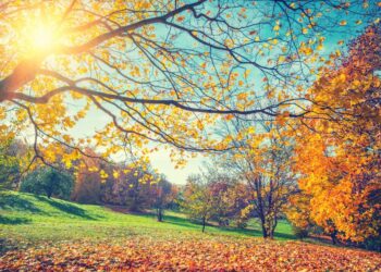 Vreme: Sončno vreme z občasnimi plohami, pripravite se na prijetno jesensko popoldne