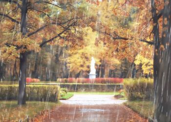 Vreme: Deževen dan pred nami, burja na Primorskem