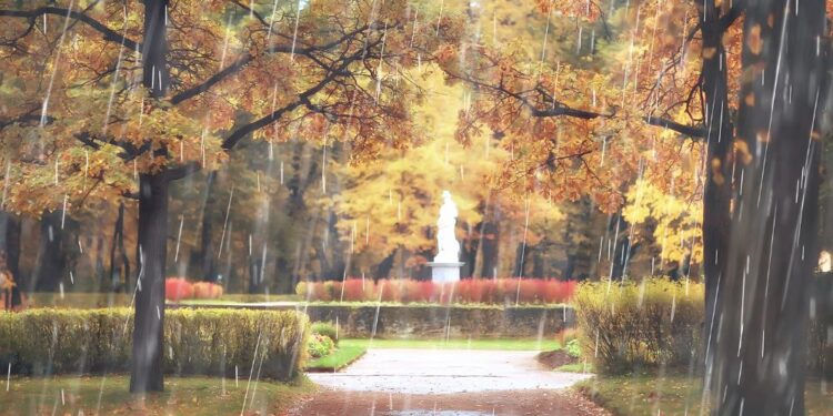 Vreme: Deževen dan pred nami, burja na Primorskem