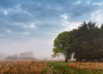 Vreme: Oblačno jutro, a popoldanski žarki že kukajo na severovzhodu