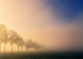 Vreme: Pretežno jasno z meglo po nižinah in umirjeno burjo na Primorskem