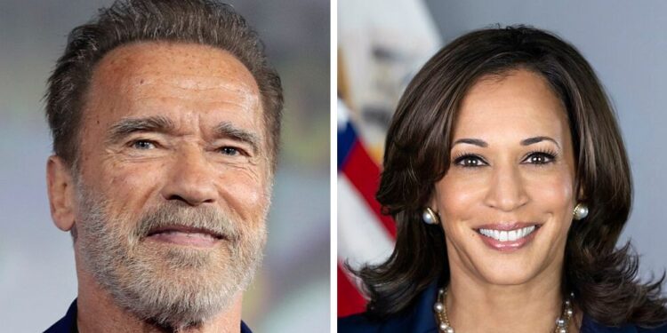 Schwarzenegger napovedal glas za Harrisovo: “Čas je za ‘zaprtje poglavja’ Donalda Trumpa v ameriški politiki”
