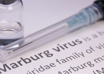 marburg virus