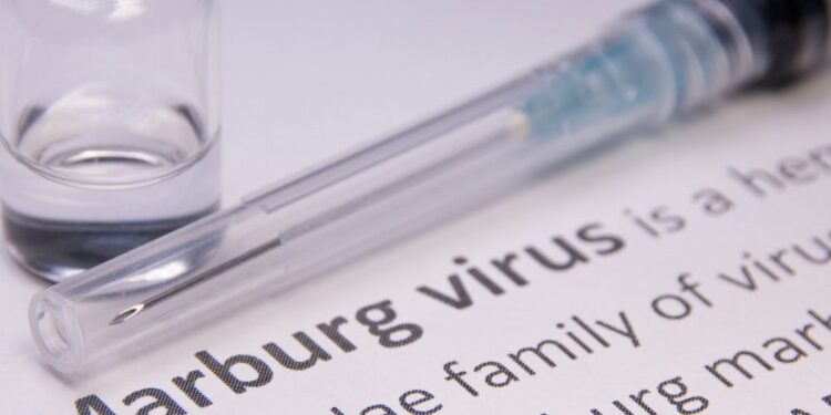 marburg virus